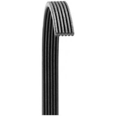 Serpentine Belt by DAYCO - 6050612 pa4