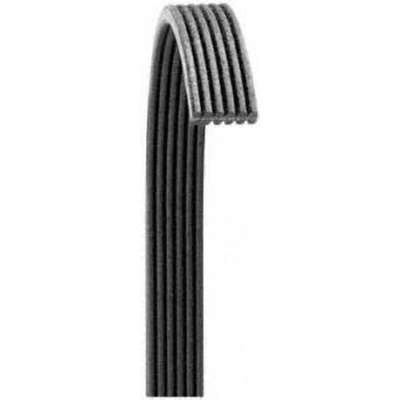 DAYCO - 6060470 -Serpentine Belt pa1