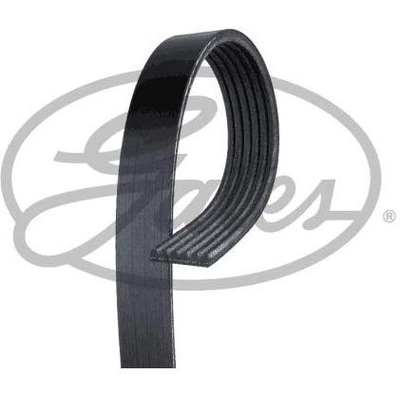 Serpentine Belt by GATES - 6PK1660 pa8