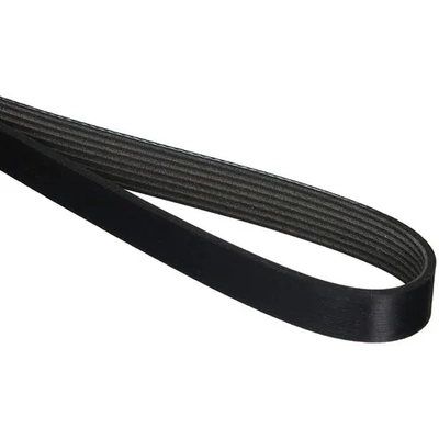 GATES - K070834 - Serpentine Belt pa9