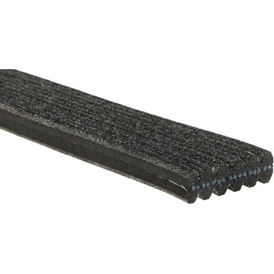 GATES - DK060718 - Serpentine Belt pa3