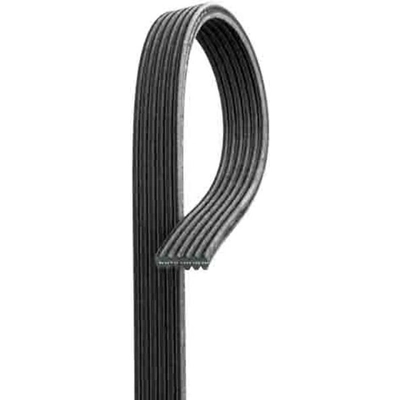 GATES - DK060718 - Serpentine Belt pa5