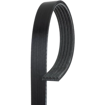 GATES - K050340 - Serpentine Belt pa6