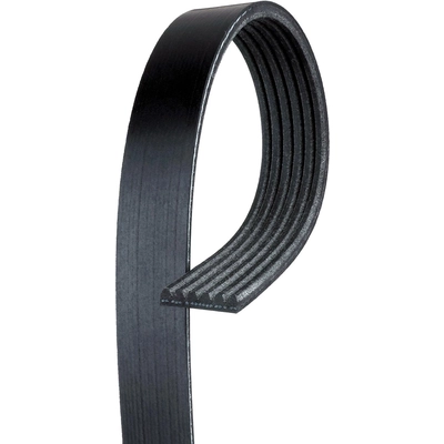 GATES - K060392SF - Serpentine Belt pa5