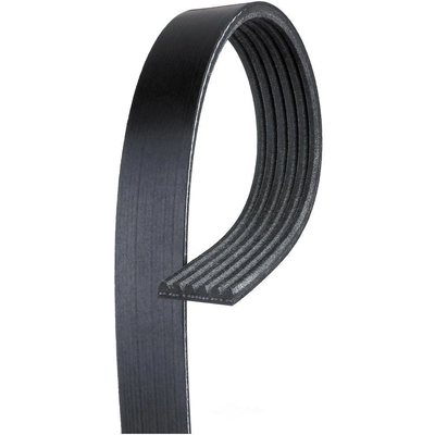 GATES - K060448 - Serpentine Belt pa10