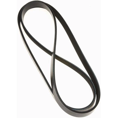 GATES - K061045 - Serpentine Belt pa4