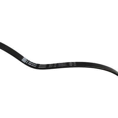 SKP - SK040551 - Serpentine Belt Anti-Slip Shield pa2