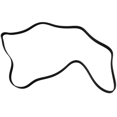 SKP - SK060916A - Serpentine Belt Anti-Slip Shield pa1