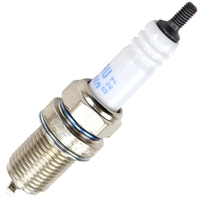 BECK/ARNLEY - Z171 - Platinum Spark Plugs pa1