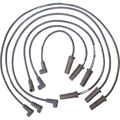 Tailored Resistor Ignition Wire Set by WALKER PRODUCTS - 924-1365 pa1