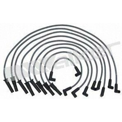 Tailored Resistor Ignition Wire Set by WALKER PRODUCTS - 924-1430 pa2