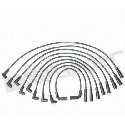 Tailored Resistor Ignition Wire Set by WALKER PRODUCTS - 924-1436 pa2