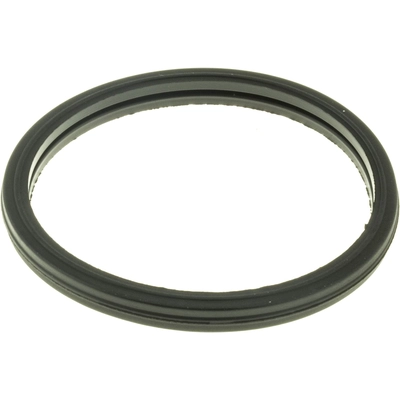 GATES - 33661 - Thermostat Seal pa5