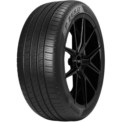 P Zero All Season by PIRELLI - 19" Tire (255/40R19) pa1