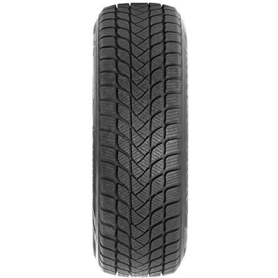 ZETA - WINTER 17" Tire 215/50R17 pa7