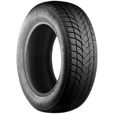 ZETA - WINTER 17" Tire 225/50R17 pa6