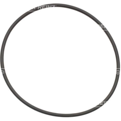 Water Pump Mounting Gasket by VICTOR REINZ - 71-14046-00 pa1