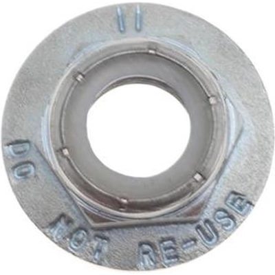 RAYBESTOS - 28541 - Wheel Axle Spindle Nut pa6