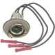 Purchase Top-Quality BLUE STREAK (HYGRADE MOTOR) - S69 - Back Up Light Socket pa1