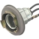 Purchase Top-Quality BLUE STREAK (HYGRADE MOTOR) - S69 - Back Up Light Socket pa3