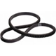 Purchase Top-Quality Air Conditioning And Air Pump Belt by DAYCO - 17615 pa10