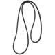 Purchase Top-Quality CONTINENTAL - 15366 - Serpentine Belt - Automotive V-Belt pa1