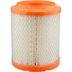 Purchase Top-Quality Air Filter by BALDWIN - RS10005 pa1