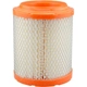 Purchase Top-Quality Air Filter by BALDWIN - RS10005 pa3