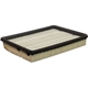 Purchase Top-Quality DEFENSE - DA8754 - Air Filter pa1