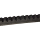 Purchase Top-Quality CONTINENTAL - 15501 - Serpentine Belt - Automotive V-Belt pa3