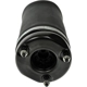 Purchase Top-Quality DORMAN - 949-864 - Air Suspension Air Spring pa2