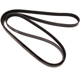 Purchase Top-Quality CONTINENTAL - 6PK1033 - Serpentine Belt pa1