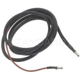 Purchase Top-Quality Ballast Resistor by BLUE STREAK (HYGRADE MOTOR) - RW34 pa4