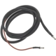 Purchase Top-Quality STANDARD - PRO SERIES - RW34 - Ballast Resistor pa1