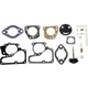 Purchase Top-Quality Carburetor Kit by BLUE STREAK (HYGRADE MOTOR) - 121A pa4