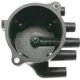 Purchase Top-Quality Distributor Cap by BLUE STREAK (HYGRADE MOTOR) - JH159 pa1