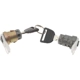 Purchase Top-Quality BLUE STREAK (HYGRADE MOTOR) - DL31 - Door Lock Cylinder Set pa6