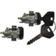 Purchase Top-Quality BLUE STREAK (HYGRADE MOTOR) - DL41B - Door Lock Cylinder Set pa6