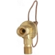 Purchase Top-Quality Expansion Valve by FOUR SEASONS - 39207 pa17