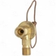 Purchase Top-Quality Expansion Valve by FOUR SEASONS - 39207 pa6