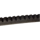 Purchase Top-Quality CONTINENTAL - 15545 - Serpentine Belt - Automotive V-Belt pa2