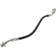 Purchase Top-Quality Front Brake Hose by CENTRIC PARTS - 150.42031 pa1