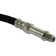 Purchase Top-Quality Front Brake Hose by CENTRIC PARTS - 150.62000 pa6