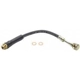 Purchase Top-Quality Front Brake Hose by RAYBESTOS - BH380052 pa1