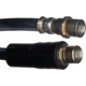 Purchase Top-Quality Front Brake Hose by RAYBESTOS - BH380451 pa9