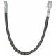 Purchase Top-Quality Front Brake Hose by RAYBESTOS - BH380747 pa2