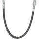 Purchase Top-Quality Front Brake Hose by RAYBESTOS - BH380747 pa8