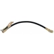 Purchase Top-Quality Front Brake Hose by RAYBESTOS - BH381249 pa2