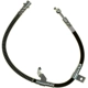 Purchase Top-Quality Front Brake Hose by RAYBESTOS - BH382827 pa4