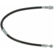 Purchase Top-Quality Front Brake Hose by RAYBESTOS - BH382845 pa2